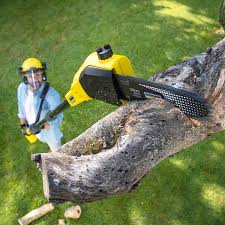 Best Grass Overseeding  in Danbury, TX