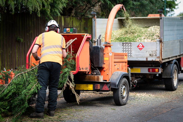 Best Lawn Maintenance Plans  in Danbury, TX
