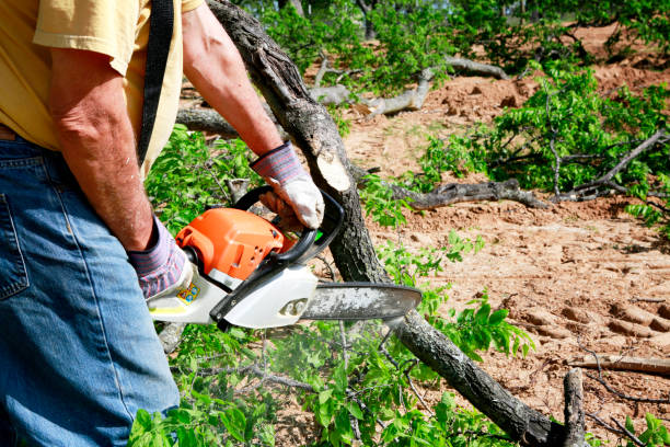 Best Lawn Mowing  in Danbury, TX